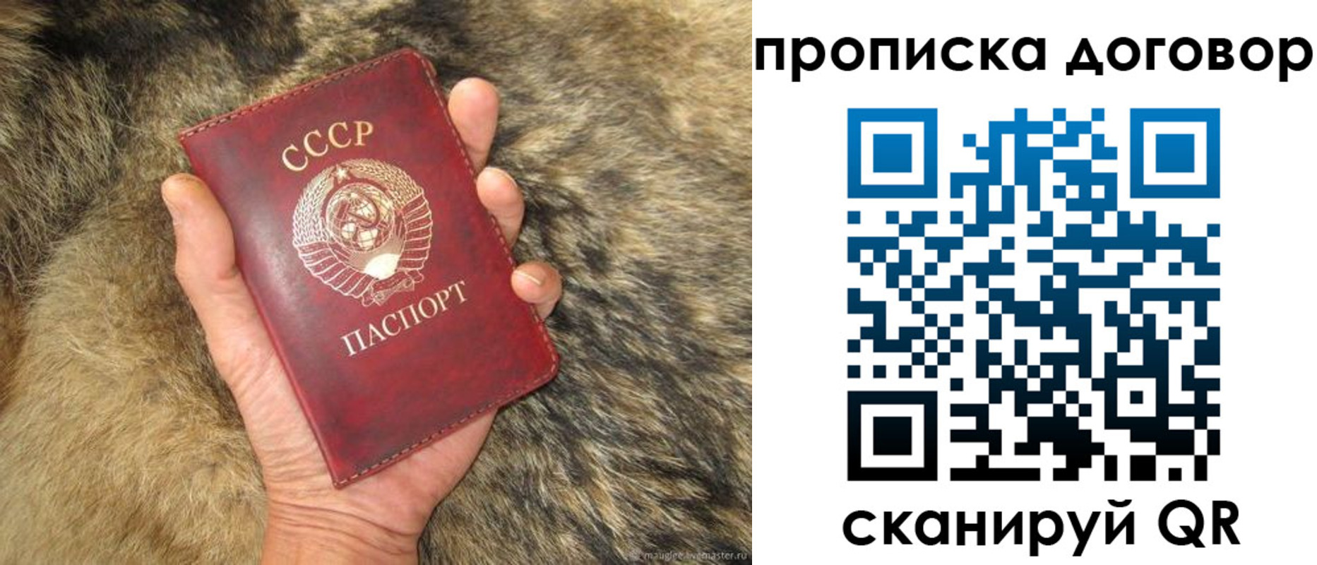прописка регистрация в Оренбургской области